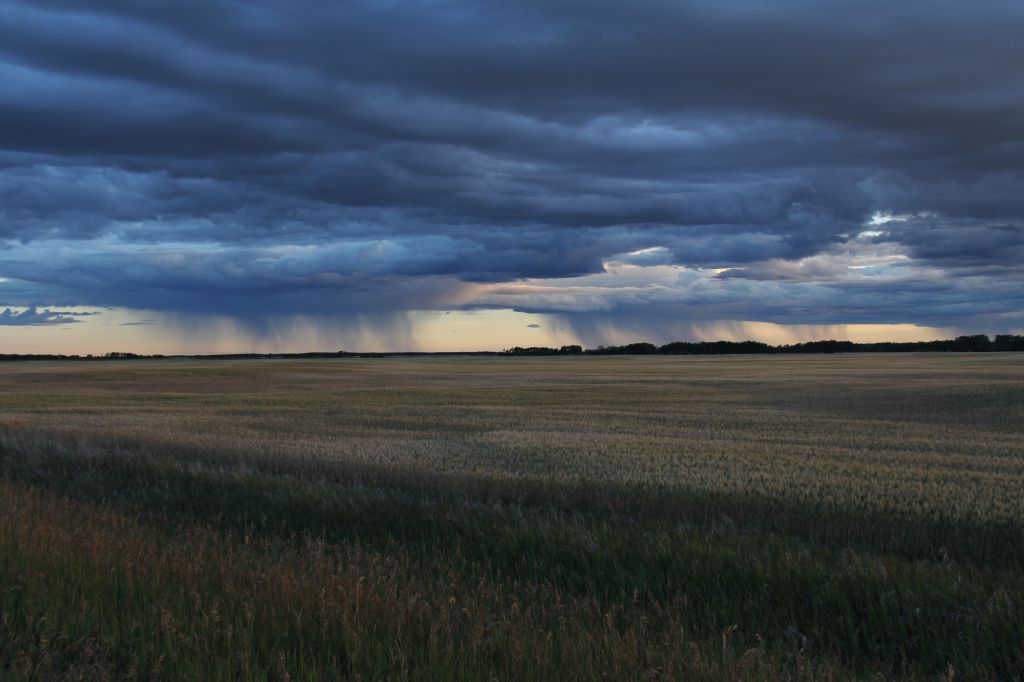 Distant Rain