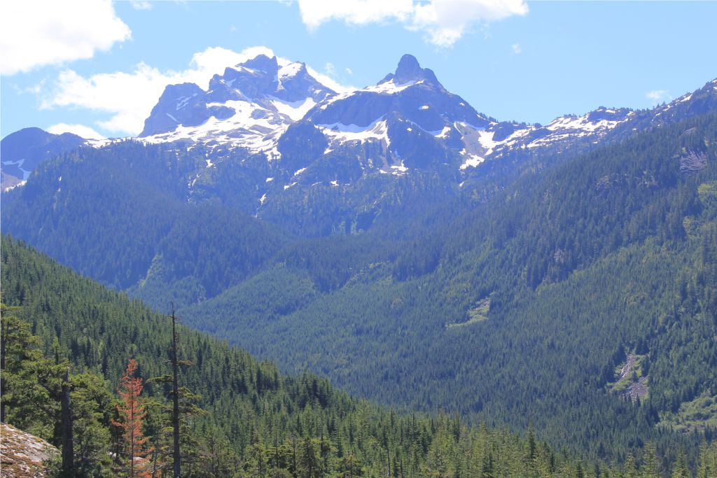 Sea to Sky Gondola BackCountry View